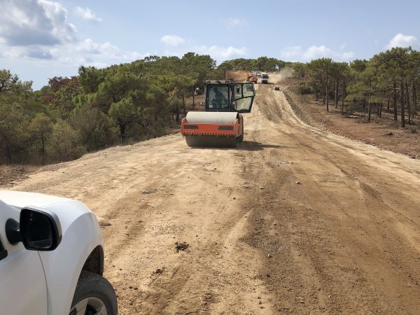 Cost of Driveway Grading in Loveland